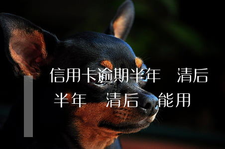信用卡逾期半年還清后還能用嗎（信用卡逾期半年還清后還能用嗎）