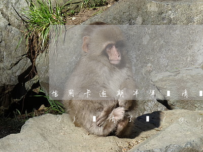 信用卡逾期半年還清還能辦么(逾期過(guò)還清了過(guò)多久才能申請(qǐng)信用卡)