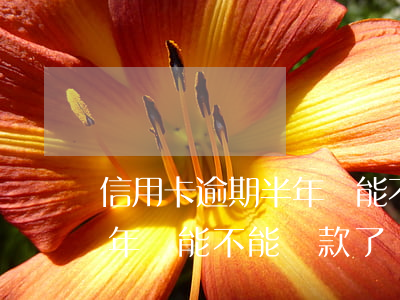 信用卡逾期半年還能不能貸款(信用卡逾期半年還能不能貸款了)