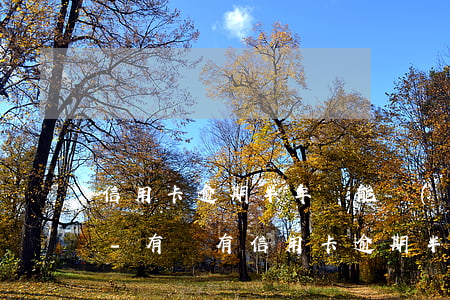 信用卡逾期半年還能協(xié)商處理么-有沒有信用卡逾期半年的