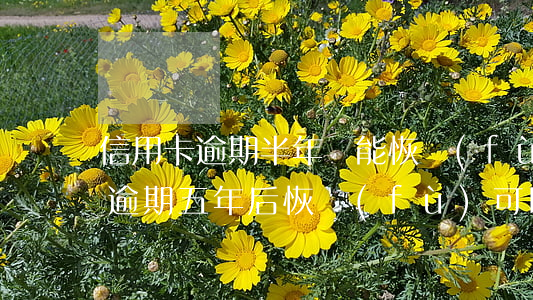 信用卡逾期半年還能恢復(fù)正常 信用逾期五年后恢復(fù)可以繼續(xù)申請信用卡嗎