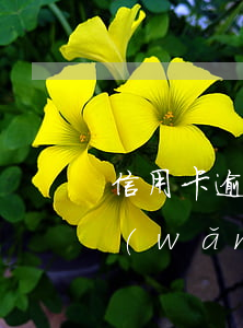 信用卡逾期半年還能網(wǎng)貸嗎(網(wǎng)貸逾期還可以申請信用卡嗎)