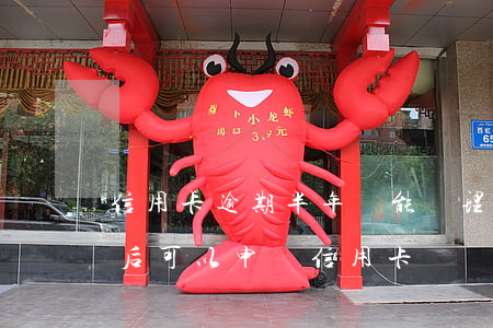 信用卡逾期半年還能辦理嗎(信用卡逾期幾年后可以申請信用卡)
