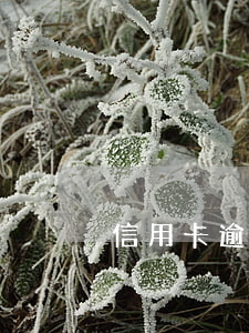 信用卡逾期半年還能辦車貸嗎