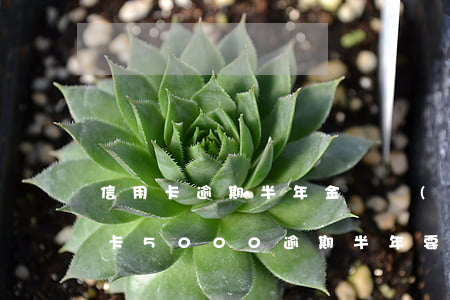 信用卡逾期半年金額達(dá)到多少 信用卡5000逾期半年要還多少