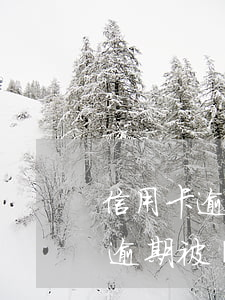 信用卡逾期半年銀行報(bào)案(信用卡逾期被報(bào)案)