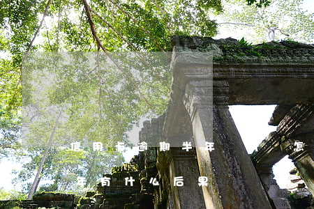 信用卡逾期半年銀行會怎么辦(銀行卡逾期半年有什么后果)