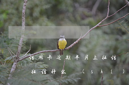 信用卡逾期半月上征信嗎(信用卡逾期半年上征信,什么時(shí)候能消除)