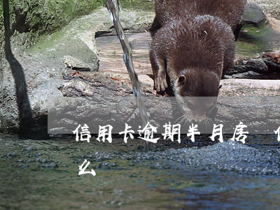 信用卡逾期半月房貸(信用卡逾期半月房貸怎么還)