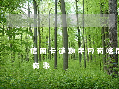 信用卡逾期半月有啥后果(信用卡逾期一個月有事嗎)