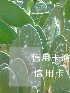 信用卡逾期半月没还能办吗(半年内有逾期办信用卡)