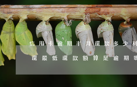 信用卡逾期半月還款多少利息 每個月信用卡還最低還款額算是逾期嗎