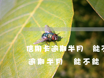 信用卡逾期半月還能不能辦信用卡-信用卡逾期半月還能不能辦信用卡了