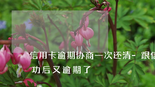 信用卡逾期协商一次还清-跟信用卡协商成功后又逾期了