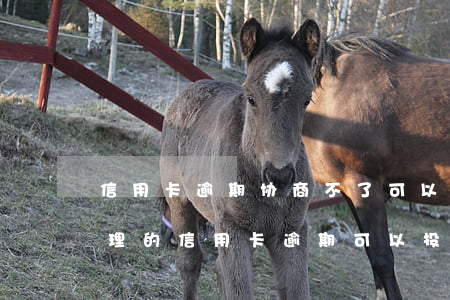 信用卡逾期协商不了可以投诉吗(不是本人办理的信用卡逾期 可以投诉银行么)