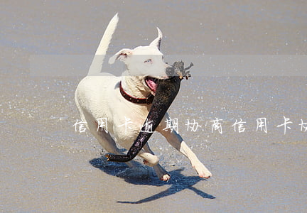 信用卡 逾期 协商（信用卡协商最新政策）