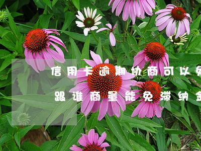 信用卡逾期协商可以免利息吗(还逾期信用卡跟谁商量能免滞纳金)