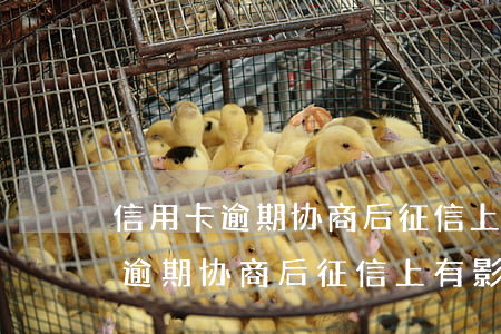 信用卡逾期协商后征信上有影响吗-信用卡逾期协商后征信上有影响吗怎么查