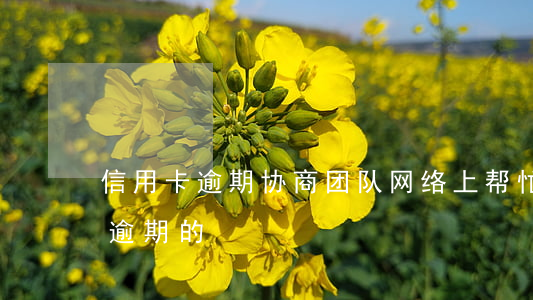 信用卡逾期协商团队(网络上帮忙协商信用卡逾期的)