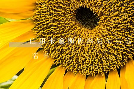 信用卡逾期协商如何写 信用卡逾期协商写承诺书