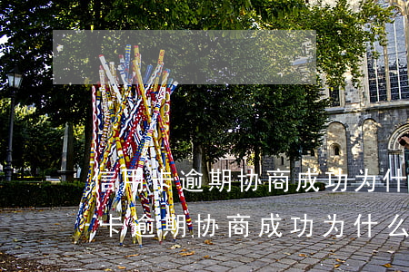 信用卡逾期协商成功为什么没有协议-信用卡逾期协商成功为什么没有协议呢