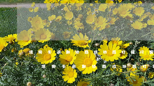 信用卡逾期协商成功后打银行客服查的到吗-信用卡逾期协商成功后打银行客服查的到吗是真的吗