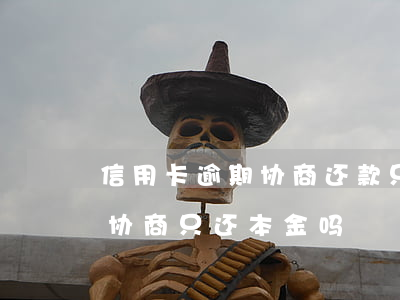 信用卡逾期协商还款只还本金(贷款逾期可以协商只还本金吗)
