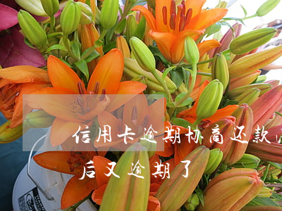 信用卡逾期协商还款法律(跟信用卡协商成功后又逾期了)