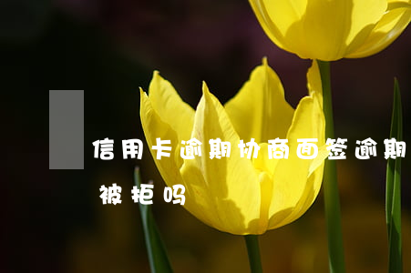 信用卡逾期协商面签(逾期过信用卡面签后会被拒吗)