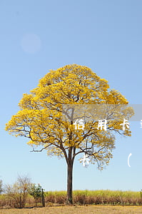 信用卡逾期協(xié)助(逾期很久的信用卡協(xié)商)