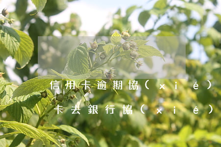 信用卡逾期協(xié)商一對一-欠信用卡去銀行協(xié)商如果協(xié)商不下來會扣人嗎