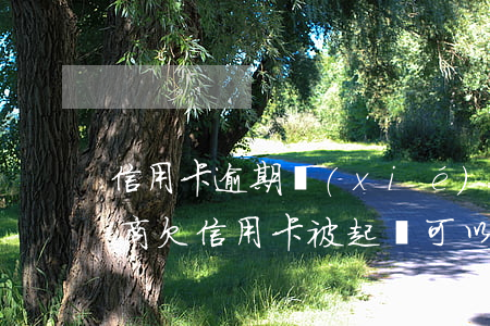 信用卡逾期協(xié)商不了說要起訴招商(欠信用卡被起訴可以協(xié)商還款嗎)