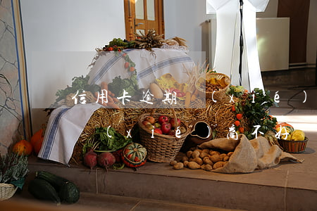 信用卡逾期協(xié)商不好(信用卡逾期協(xié)商不好會怎么樣)