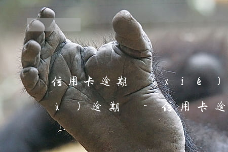 信用卡逾期協(xié)商不成功繼續(xù)逾期嗎-信用卡逾期協(xié)商不成功繼續(xù)逾期嗎會怎么樣