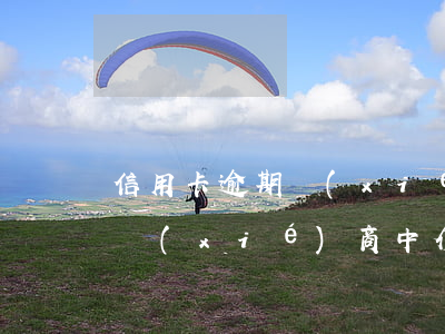 信用卡逾期協(xié)商中介(信用卡逾期協(xié)商中介費(fèi)用)
