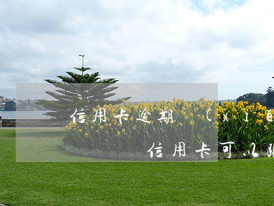 信用卡逾期協(xié)商之后沒有錢更累(沒錢還信用卡可以跟銀行協(xié)商嗎)