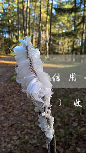 信用卡逾期協(xié)商了還會(huì)收到短信嗎-信用卡逾期協(xié)商了還會(huì)收到短信嗎是真的嗎