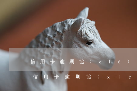 信用卡逾期協(xié)商什么理由(為什么信用卡逾期協(xié)商不了)
