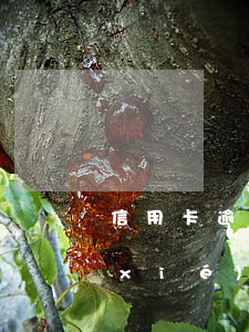 信用卡 逾期 協(xié)商（信用卡不好協(xié)商）