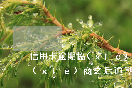 信用卡逾期協(xié)商信鏈匯(信用卡協(xié)商之后逾期了)