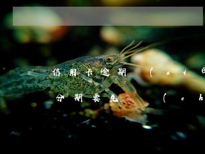 信用卡逾期協(xié)商個(gè)性化分期要先還誠(chéng)意金-信用卡逾期協(xié)商個(gè)性化分期要先還誠(chéng)意金嗎