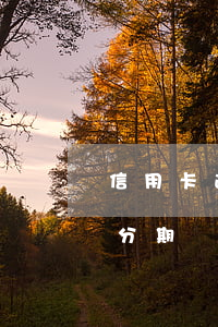 信用卡逾期協(xié)商個(gè)性化分期話術(shù)-2021年信用卡逾期怎么協(xié)商分期