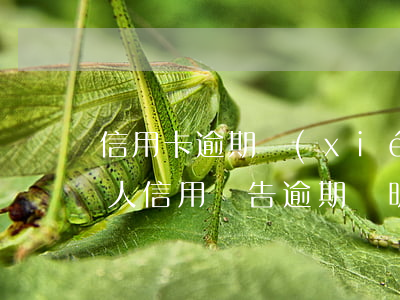 信用卡逾期協(xié)商個人情況說明(個人信用報告逾期說明)