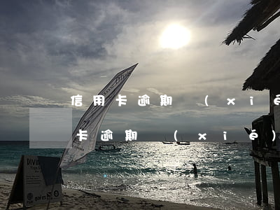 信用卡逾期協(xié)商停息掛賬-信用卡逾期協(xié)商減免政策