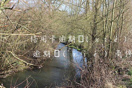 信用卡逾期協(xié)商停息掛賬(信用卡逾期協(xié)商停息掛賬是真的嗎)