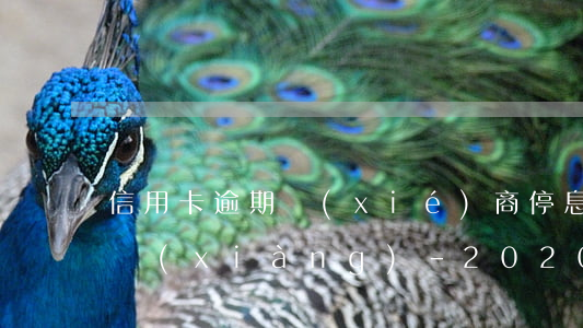 信用卡逾期協(xié)商停息掛賬注意事項(xiàng)-2020年信用卡停息掛賬申請辦法