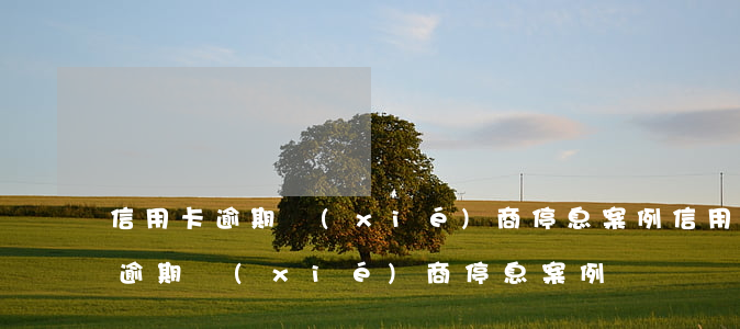 信用卡逾期協(xié)商停息案例(信用卡逾期協(xié)商停息案例)