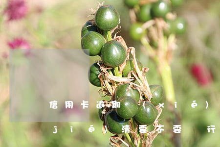 信用卡逾期協(xié)商免息還本全結(jié)清要不要銀行開結(jié)算單（信用卡逾期協(xié)商免息）