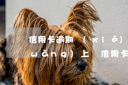 信用卡逾期協(xié)商公司可信嗎(網(wǎng)上說信用卡逾期有人可以幫忙協(xié)商)