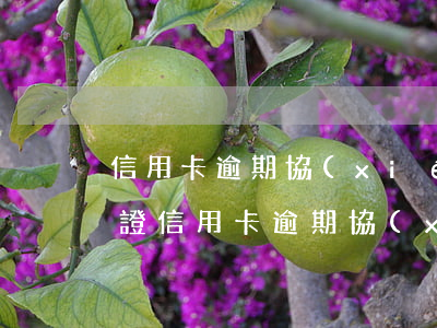 信用卡逾期協(xié)商公司要客戶身份證(信用卡逾期協(xié)商公司要客戶身份證)
